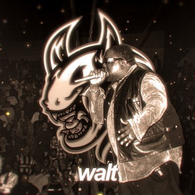 waltuhh_ Profile Picture