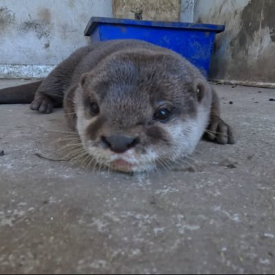 Sergio34300872's profile picture. 