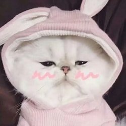 ilapour's profile picture. The word love is too beautiful, but it is too sad in practice.