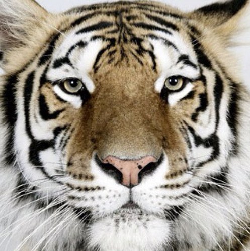 jearome77's profile picture. 세상을 알고 살자! 자유롭게!..알아야 보이고 보여야 즐길 수 있다? ㅎㅎ 모두 즐거운 세상 만들어요...ㅎㅎ