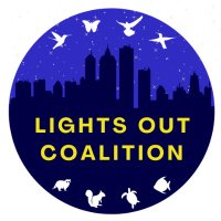 Lights Out Coalition (@lightsoutnys) 's Twitter Profile