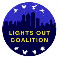 Lights Out Coalition(@LightsOutNYS) 's Twitter Profile Photo