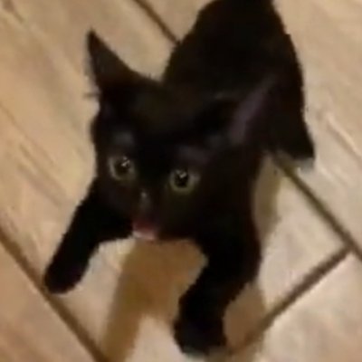 adenylates's profile picture. student by day. also student by night. it...it literally never ends. please. h̷̛͚̝̮̫͔̹̦͖̽͆̒e̶͓̒̔͒̚l̸̹̣̠̺͙̤̟͍̈́̽̓̒͝p̸̢̺̫͇̰̏͐̎̿̔͋ ̶̥͌̋̓̑̀͘̚͝m̷̟̮͗̈́̽̏ē̵̺̻͖̹̦͑.