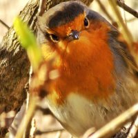 Rich (@rich_edinburgh) Twitter profile photo