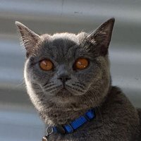 orcun kale (@kaleorcun) 's Twitter Profile