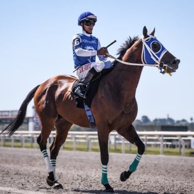 Centro Hípico y Stud . Cría y Recria de caballos Pura Sangre .  Pensionado yeguas madres y descanso.  Tenerlos nos obliga a soñar 🏇🏻 🤩