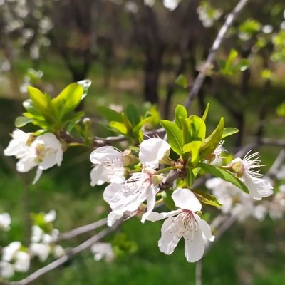 خدا قبول کنه معلم
بابای محمدجواد و فاطمه راحیل