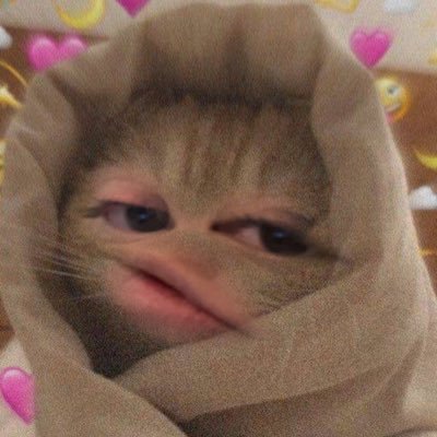 denisanchx's profile picture. 