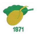 Worcestershire based cricket club catering for players of all ages and abilities. #UpThePlums