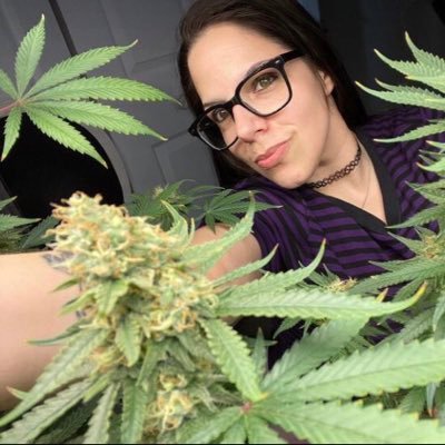 cannabis enthusiast || legal cultivator || medical and recreational cannabis || proudly a farmer🧑‍🌾🌿🥰🪴