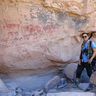 Guía Naturalista Desierto de atacama.
Difusión del Patrimonio Natural y Cultural. Wildlife Observer.
#AmorPorLosSalares