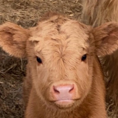 shortytoo22's profile picture. 