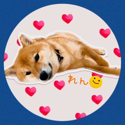 はじめまして、れんです🐕2022.1.30生まれ。同年5/6にお迎え。犬好き人好きな赤柴の男の子。ママがわんこ愛をゆるーくつぶやくよ。どうぞよろしくね🤗