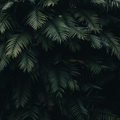 MohamedAlosta17's profile picture. #art