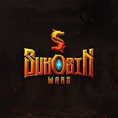 suhosinwars Profile Picture