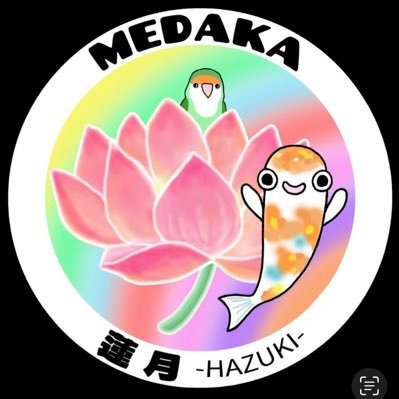 MEDAKAHAZUKI Profile Picture