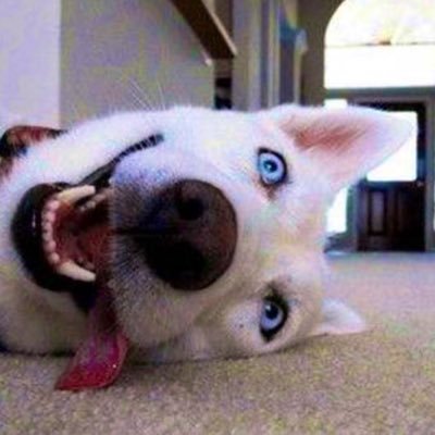 GtwcFLA0DZsyTQl's profile picture. 色色東西在哪裡？