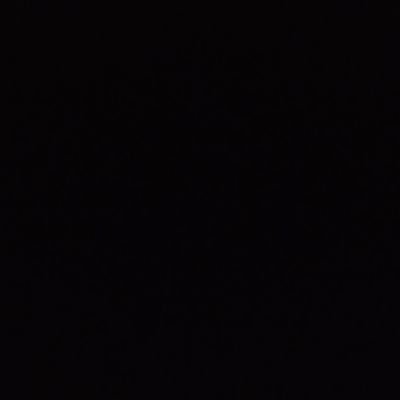 Scarlet38519301's profile picture. 