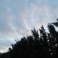 Can Nguyen ❤️ Memecoin (@cannguy64) 's Twitter Profile