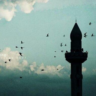 AlzhranySf6253's profile picture. 