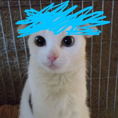 flibblup's profile picture. new flib twitter because the old one was horrific