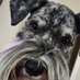 Bonnie Blain (@bblain63) Twitter profile photo Bonnie Blain (@bblain63) Twitter profile photo