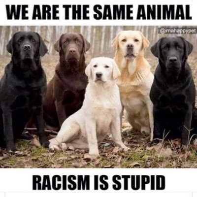 nothing1828233's profile picture. ✝️Conservative, 🇺🇸 🚫DMs!  I was going to get off  X  but God uses the foolish things of the world to confound the wise. Unashamed of the gospel.