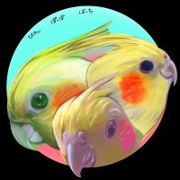 ぽっぽ ぱっち ぴっちぃ🐘 (@satomihiroji) 's Twitter Profile