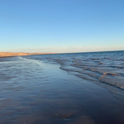 Alicia