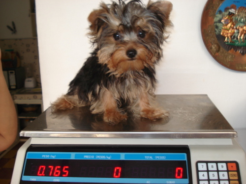 jiaalvarez's profile picture. 