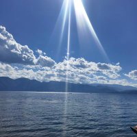 ZL (@4bf8ride13m5z3o) 's Twitter Profile