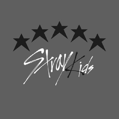 ♡ Stray Kids ♡