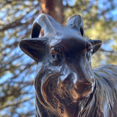 anewdarkage Profile Picture