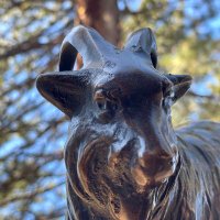 Bronze Goat(@anewdarkage) 's Twitter Profile Photo
