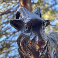 Bronze Goat (@anewdarkage) 's Twitter Profile