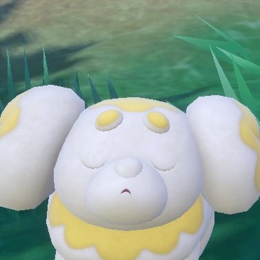 OP6ZzlW7PmgrKI1's profile picture. パピモッチとツタージャ好きです！☘️🥯  柴犬も大好き🐕💕                                  基本ツイート等はしません。