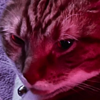 JayRamCruz's profile picture. how do I use Twitter