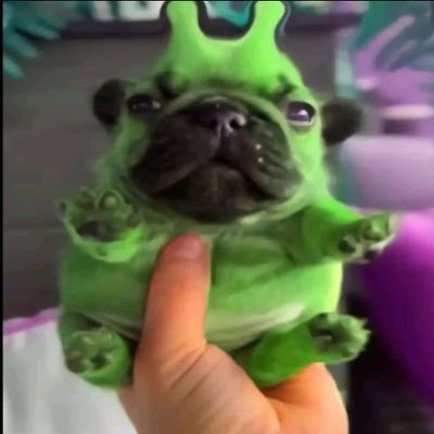 SecretoDeGraceS's profile picture. A