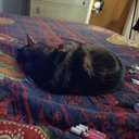 dede Mickelson - @mickelson_90515 - Twitter