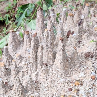 VkkPadre's profile picture. 