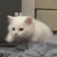 Eli75348297's profile picture. e