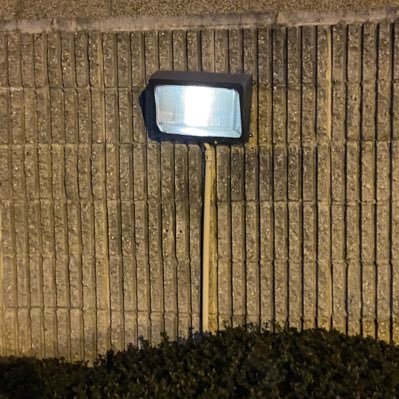 Garrett_Cantor's profile picture. 