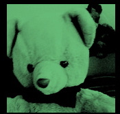 oliver_bear Profile Picture