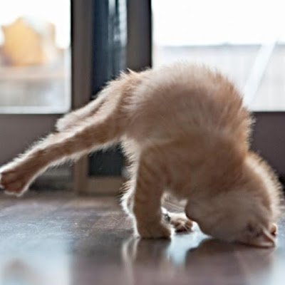 aa90191's profile picture. 