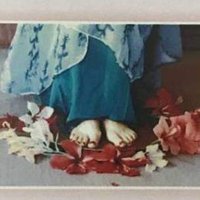 Prof. Dr. Vibha Vaishnav (@vaishnavvibha) 's Twitter Profile