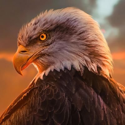 VyniCs's profile picture. Fx/Crypto                                                                      
Beklemeyi bilen insan her şeyi elde edebilir.