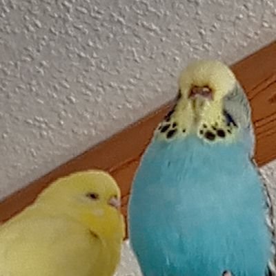 kk_littlelady's profile picture. Achtung ich werde hier Dinge schreiben und Posten die möglicherweise andere Triggern könnte. also überlegt es euch mehrmals. ihr seid gewarnt.