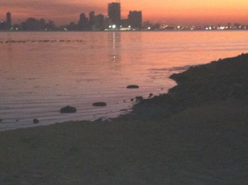 محمد بن حسن التميمي