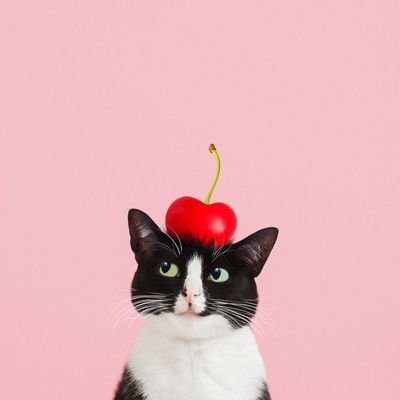 AUEM9's profile picture. 