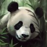 nao_nuno's profile picture. 2021年1月29日ブログ開始。
第1目標6桁達成。
第2目標2022年中に20万超え。
第3目標は本業の手取りを超える。
第4目標は50万を超える。
第5目標は60万を超えること。（←次これ←達成済み）

アップデートで撃沈。
あと半年の命です。
↑とある方に助けてもらい、なんとか復帰。